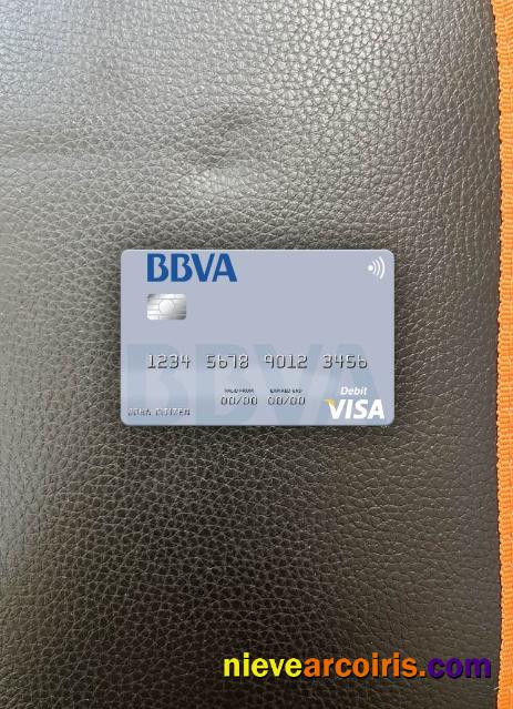 Paraguay Banco BBVA Bank visa debit card photolook